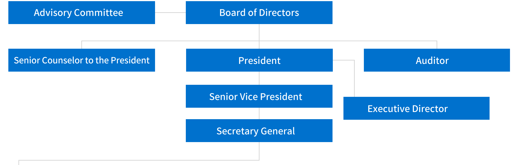 Advisory Committee, Board of Directors, Senior Counselor to the President, President, Auditor, Senior Vice President, Secretary General, Executive Director